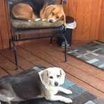 Gail Yeager - @yeagergail - Instagram