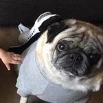 Ailene Clark - @ai_wc - Instagram