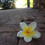 Gal Barak - @wavelightning - Instagram