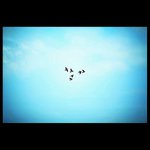 Gale Albert - @galealbert - Instagram