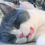 Gale Albert - @l897319 - Instagram