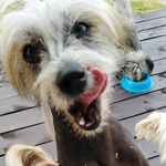 Gale Barnes - @gale.barnes.7 - Instagram