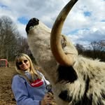 Gale Berry - @myheritagebreeds - Instagram