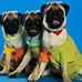Gale Brooks - Facebook