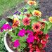 Gale Buchanan - Facebook