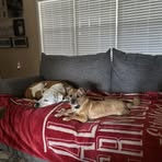 Gayle Carson - Facebook