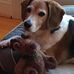 Gayle Conner - Facebook