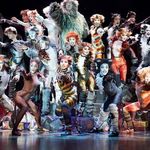 Gale Crowe - @justiceforthecucumbers - Instagram