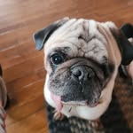 Gale Doyle - @galedoyle2023 - Instagram