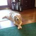 Gale Duke - Facebook