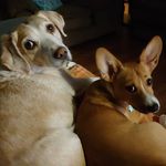 Gale Duke - @galeduk - Instagram