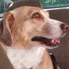 galeduke8 - @galeduke8 - TikTok