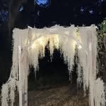 Gale Fair - @galefair55 - Instagram
