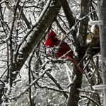 Gale Ford - @galeford2019 - Instagram