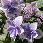 Gale Fuller - Facebook