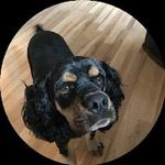Gale O Fuller - @gofull2223 - Instagram