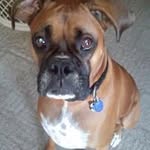 Gale Gordon Tuzik - @xfirecrkrx - Instagram