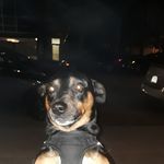 Gale Hamilton - @gale.hamilton.77736 - Instagram