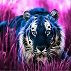 Gale Harrison - Facebook