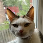 Harrison - @harrison_gale_pvhs - Instagram