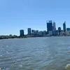 Gale - @gale.winehart - TikTok