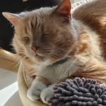 Gale Hilder - @hildergalel - Instagram