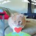 Gale Hilder - Facebook