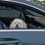 Gayle huff - @huff_gayle - Instagram