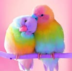 Gale Jacobs - Facebook