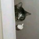 @galemacdonald_ - Instagram