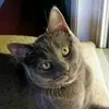 galemcdaniel2 - @galemcdaniel2 - TikTok