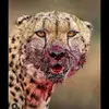 morineefangale - @morineefangale - TikTok