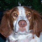 Walter N Gale Murphy - @walterngale - Instagram