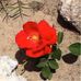 Gale Newman - Facebook