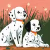 galen norton - @galen.norton2 - TikTok