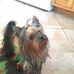 Gale Olson - Facebook