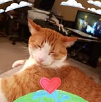 Gale Palmer - Facebook