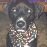 Gale Pennington - @gpeno1970 - Instagram