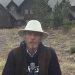 Gale Ray Peterson - @galeraypeterson - Instagram