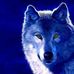 Gale Pratt - Facebook