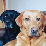 Gale Robinson - @gale_k_robinson - Instagram