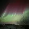 Gale rose - @gale.rose51 - TikTok