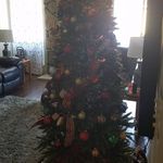 Gale Stanton - @galestanton - Instagram