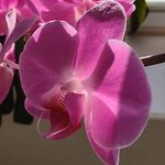 Gayle Stanton - @gaylestanton44 - Instagram