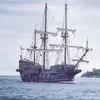 Gale Stein - @gale.stein - TikTok