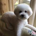 Gayle Stein - @shebiegayle - Instagram