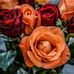 Gale Summers - Facebook