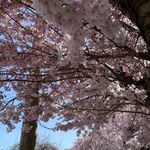 Gale Summers - @gale.summers.5648 - Instagram