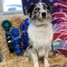 Gale Templeton - Facebook