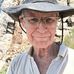 Gale H. Thorne Jr. - Facebook